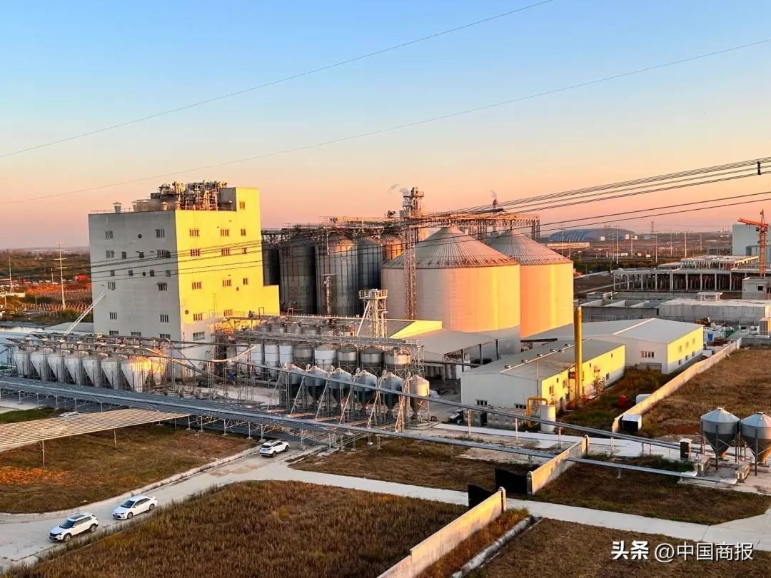 员工承包养猪、高管掏钱买股……牧原股份称有信心穿越猪周期