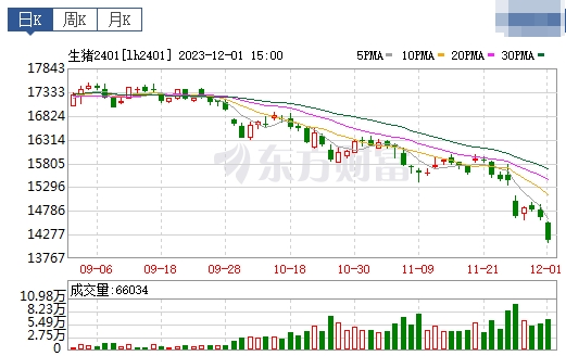 2023.12.02今日猪价