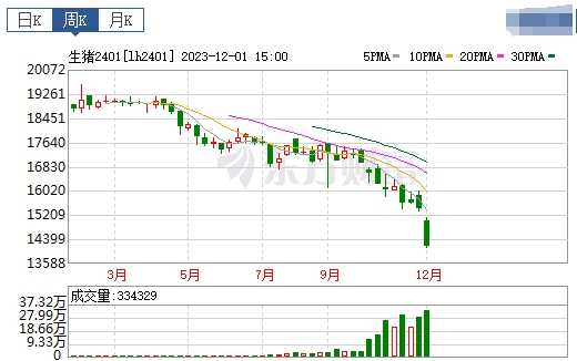 2023.12.03今日猪价