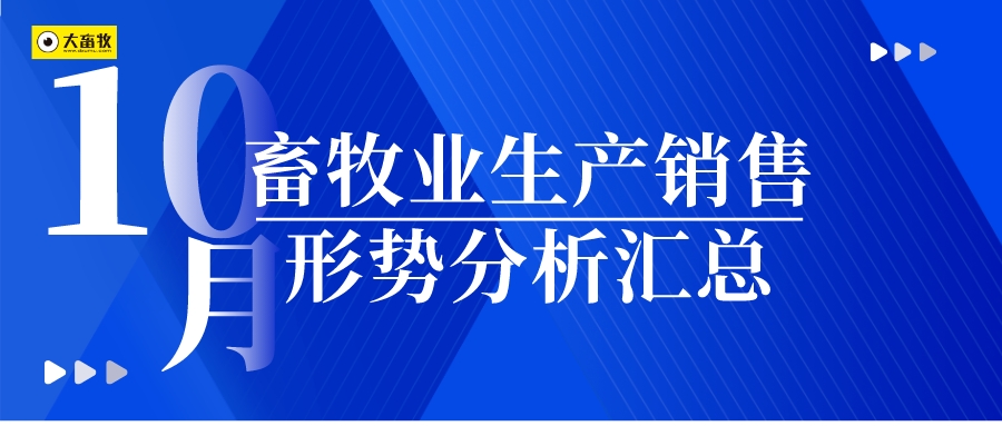 2023年10月畜牧业生产销售形势分析汇总