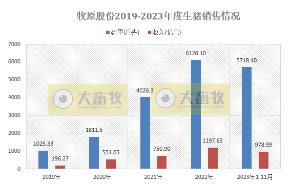 牧原股份:11月生猪销量约530万头,仔猪销量为2000头,同时调低今年生猪出栏目标
