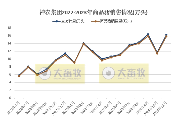 神农和正虹2023年11月生猪销售情况