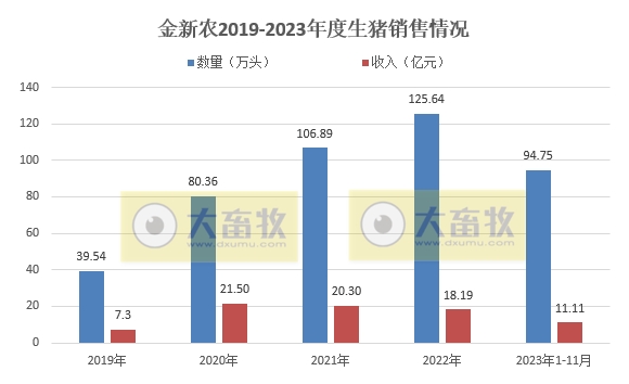 种猪销量出现大幅增长——金新农2023年11月生猪销售情况