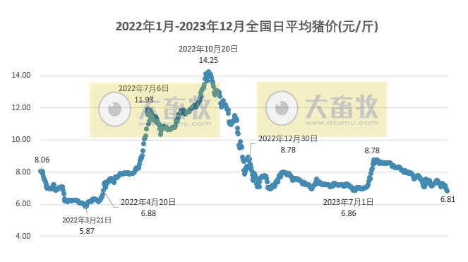 2023.12.09今日猪价