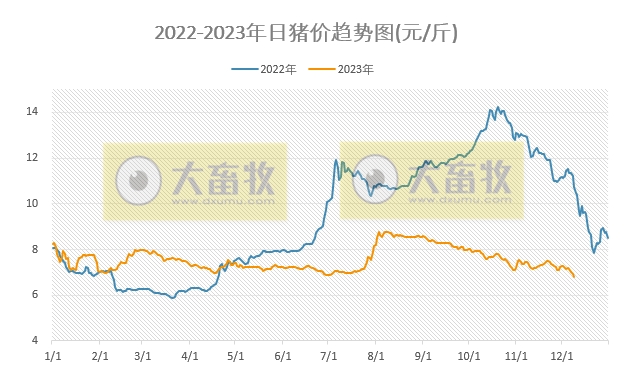 2023.12.09今日猪价