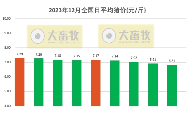 2023.12.09今日猪价