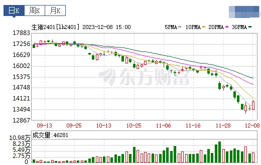 2023.12.09今日猪价