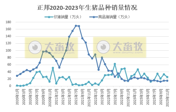 正邦科技：前11月生猪销量超500万头同比减少37%