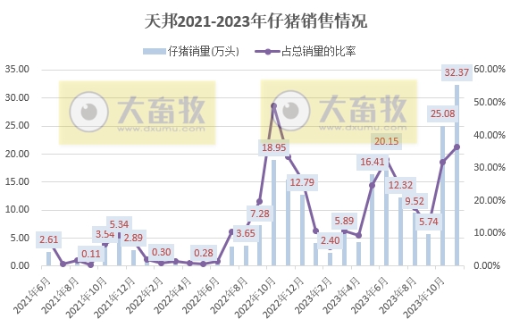 天邦食品：规避冬季疫病风险，加快出栏部分区域商品猪和仔猪，11月生猪销量创新高