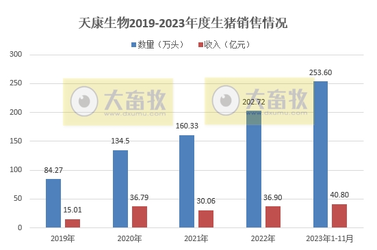 傲农、天康、东瑞和罗牛山2023年11月生猪销售情况