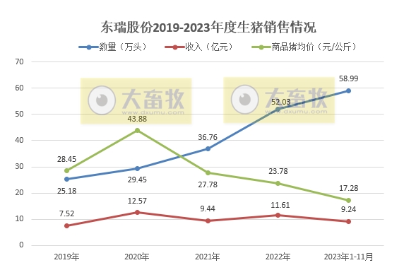 傲农、天康、东瑞和罗牛山2023年11月生猪销售情况