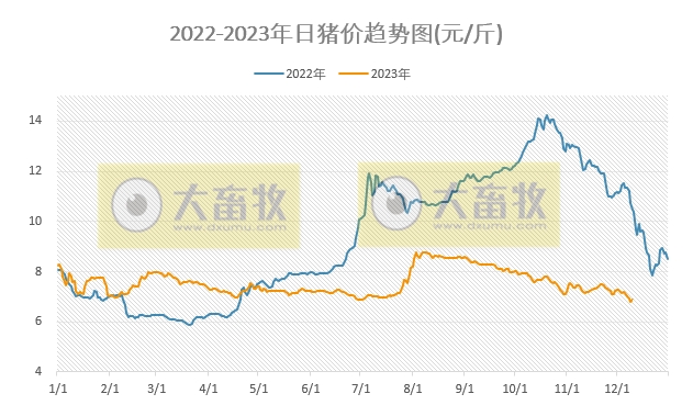 2023.12.10今日猪价