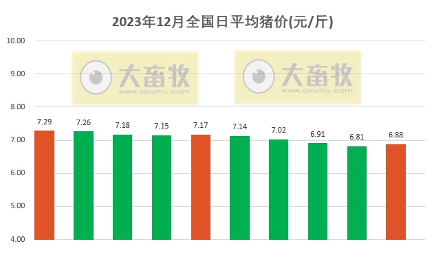 2023.12.10今日猪价