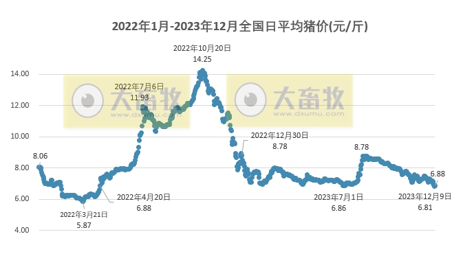 2023.12.10今日猪价