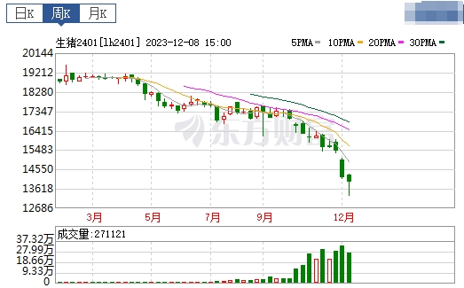 2023.12.10今日猪价
