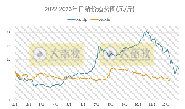 2023.12.11今日猪价