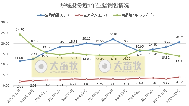 华统股份2023年11月生猪销售情况