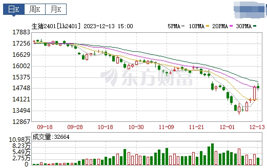 2023.12.14今日猪价