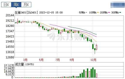 2023.12.17今日猪价