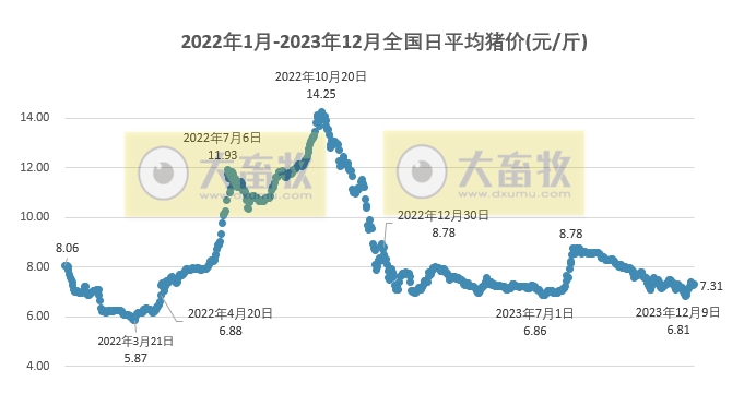 2023.12.19今日猪价
