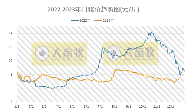 2023.12.19今日猪价