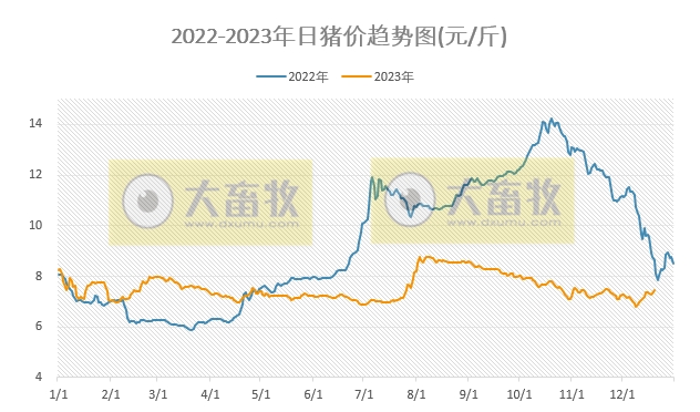 2023.12.20今日猪价