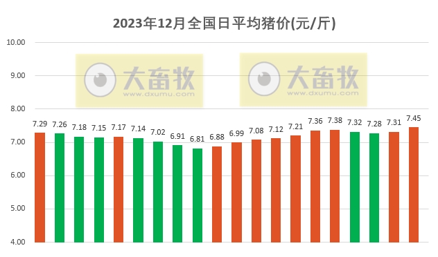 2023.12.20今日猪价