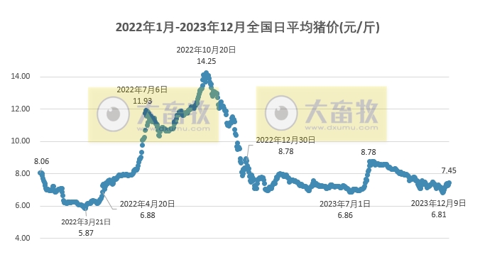 2023.12.20今日猪价