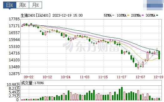 2023.12.20今日猪价