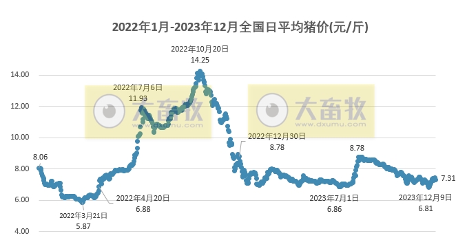 2023.12.21今日猪价