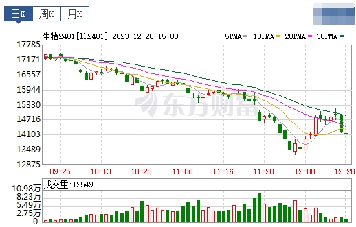 2023.12.21今日猪价