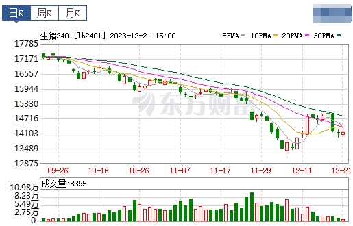2023.12.22今日猪价