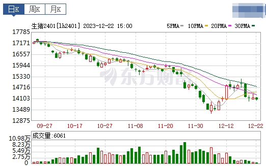 2023.12.23今日猪价