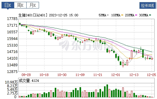 2023.12.26今日猪价