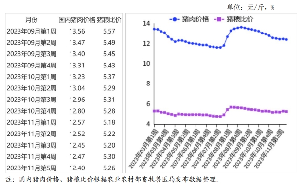 2023年11月国内和国际猪肉市场行情分析——猪肉价格继续下跌