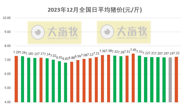 2023.12.27今日猪价