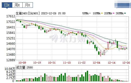 2023.12.27今日猪价