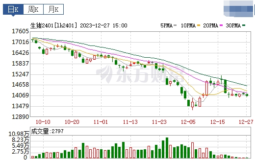 2023.12.28今日猪价