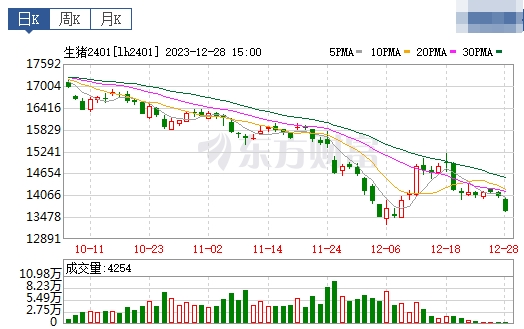 2023.12.29今日猪价