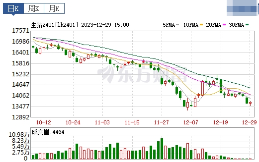2023.12.30今日猪价