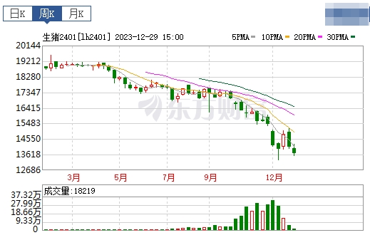 2023.12.31今日猪价