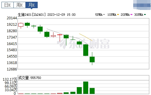 2023.12.31今日猪价