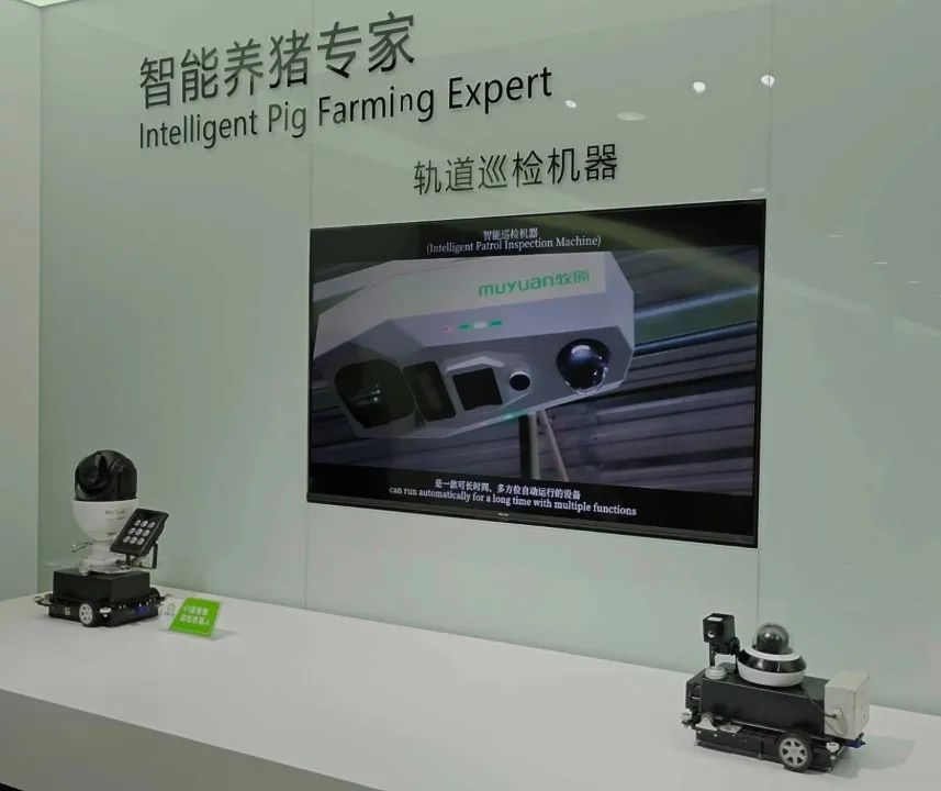 淘汰母猪价格异动，“最漫长猪周期”还要熬多久？谁来负责减产能？谁又愿意减产让出份额呢？