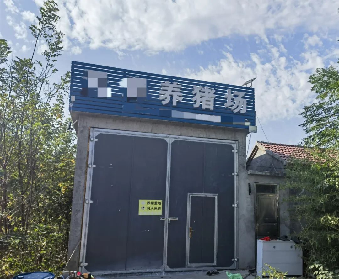 淘汰母猪价格异动，“最漫长猪周期”还要熬多久？谁来负责减产能？谁又愿意减产让出份额呢？