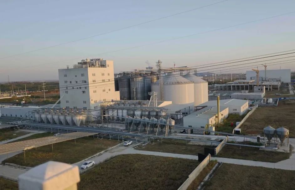 淘汰母猪价格异动，“最漫长猪周期”还要熬多久？谁来负责减产能？谁又愿意减产让出份额呢？