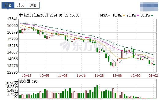 2024.1.3今日猪价