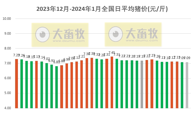 2024.1.4今日猪价