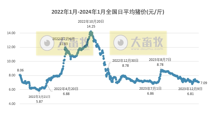 2024.1.4今日猪价