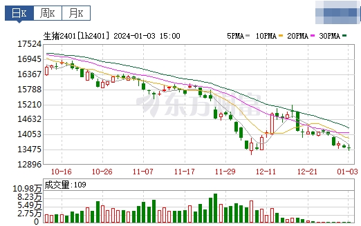 2024.1.4今日猪价