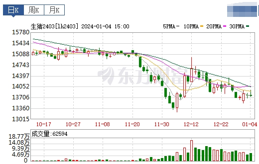 2024.1.5今日猪价